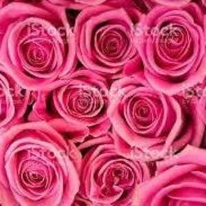 Meet your Posher, Gilla